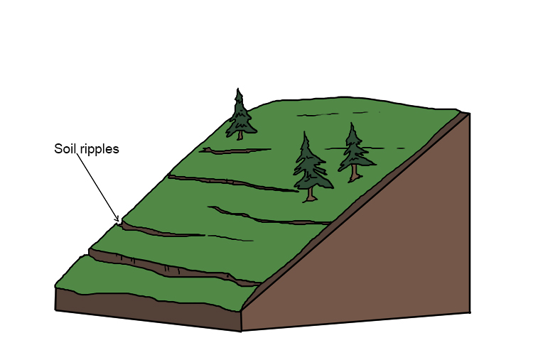 The soil may move less than a centimetre a year, but over time the results can be seen in small, step-like terraces on hillsides.